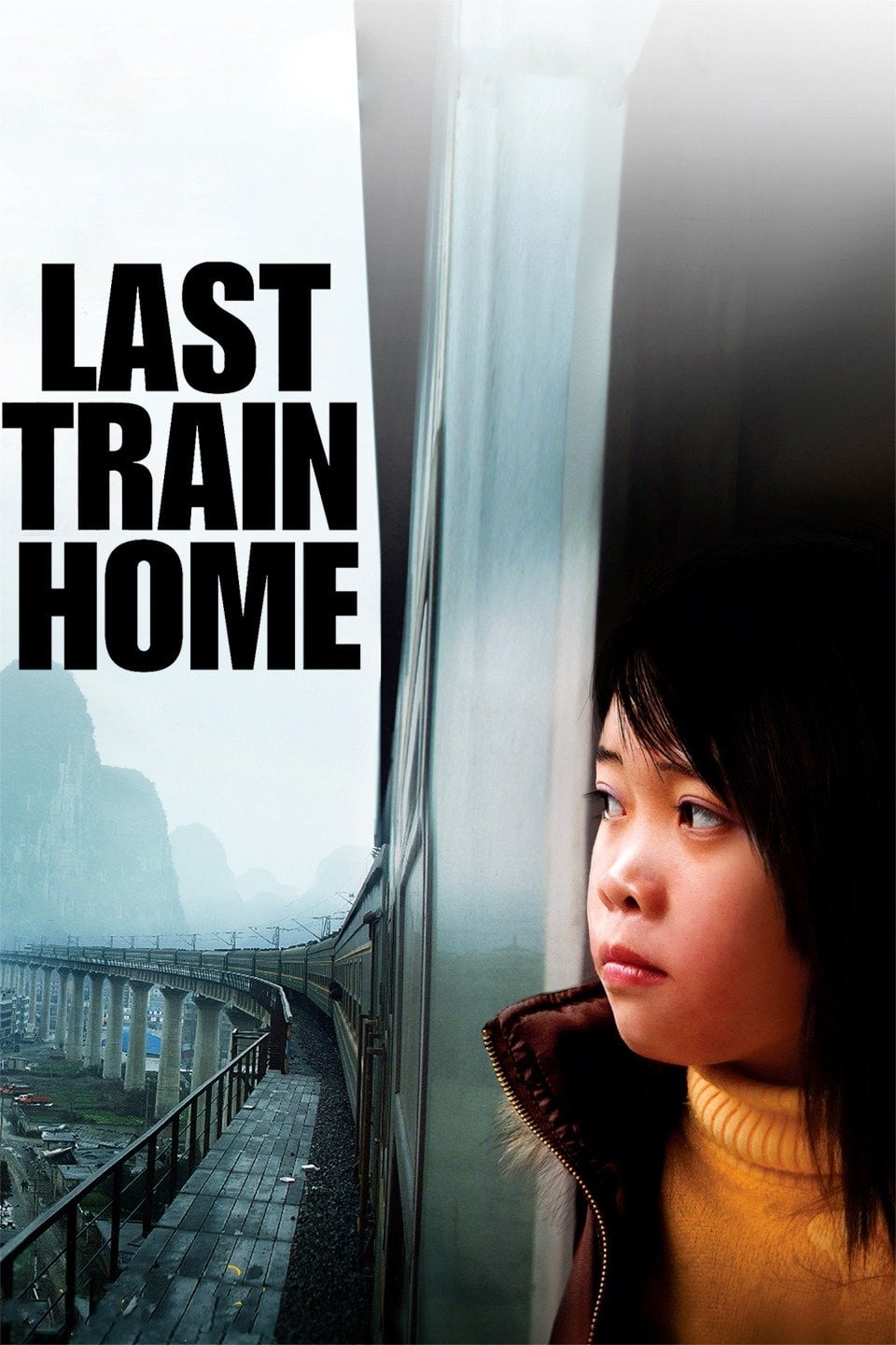 Last Train Home (2009) [33508] (A1701707278) [[Movies]] --Plex--